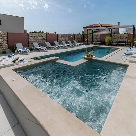 Pinna - Caretta * プーラ